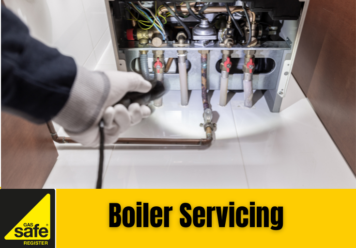 boiler service Meopham 
